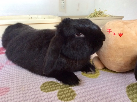 3AC165BF-D936-45E0-AB7E-B4EA09471F72