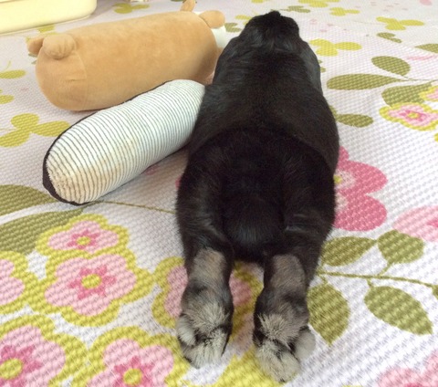 F2874034-134C-413B-A9DA-A5A50450BFA7