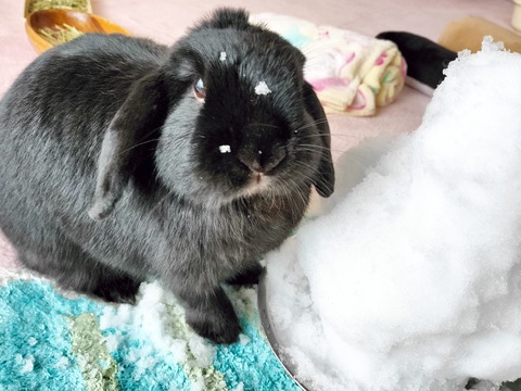 B95EAE94-47C5-4C2C-AF04-E8F98F23CBB1