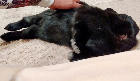 0AE747FA-07EE-4773-A084-9F1452C7B326