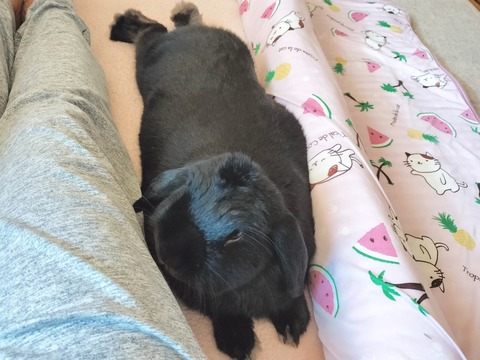 D5D4ED3F-98CB-40FA-8AC7-C2D00541231B