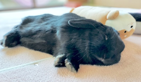 C8A24E8A-E5DB-4274-9838-3E25751D5077