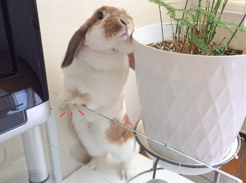 90EDD51D-56A3-46DD-9C40-F4F18D7C1C3F