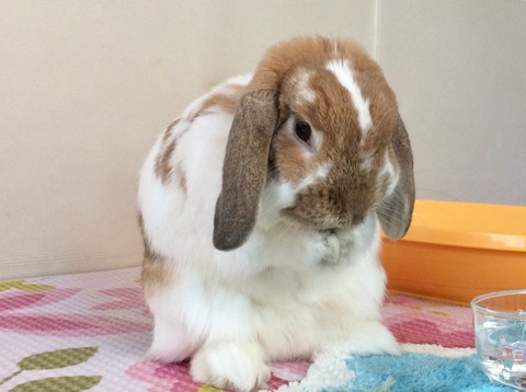 7F6BCF8A-4C93-41F5-808E-AA1FA919EF4A