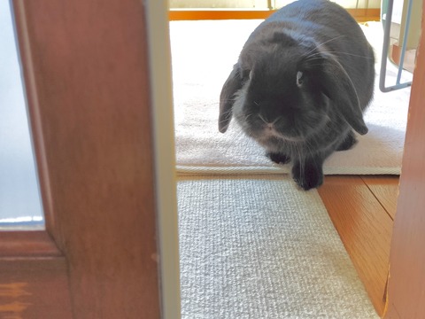 F022FB89-4B98-4D31-BF10-9F11F8DEB7EB