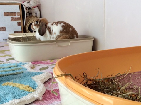 A139174C-DDFE-4F03-B74A-B1EFD84F8189