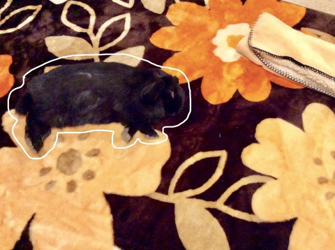 0DA75472-C562-492B-9648-518F3B436AC0