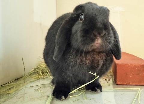 33EC2547-83C3-4A6D-8B63-C3883FB20FC3