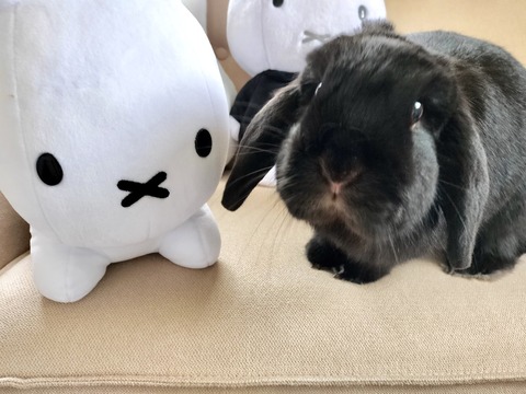 136A10BD-EE8B-4868-A16B-DEBD87E011AA