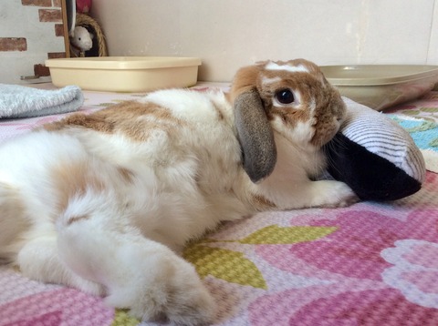 E6EB004F-3375-4200-AD94-8A37E1E9E6DD