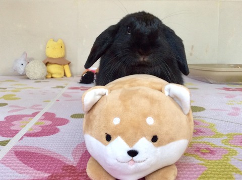 E3D7AC60-DE8A-4DF0-A482-7A89E9864441