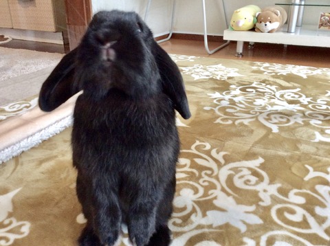 659B9DD3-7B06-4762-AA15-C7E97B65B398