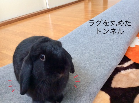 75C6744B-DF57-4F1C-B9B4-7F184401FC39