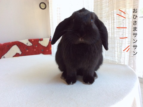 04C32269-5139-4467-B9A9-F6D2437F345C