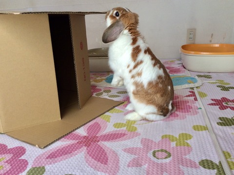 59A935C6-9841-4E6E-ABF4-ECDFF79AE007