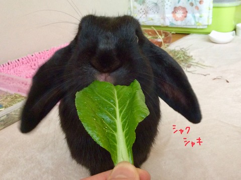 6D227FE6-8562-4537-801F-66F9158251A1