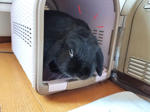 EA943842-F49C-42B3-91A0-9C1FA0DB10F3