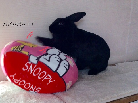 ED3B0B9F-7104-4358-B961-3BE63C093486