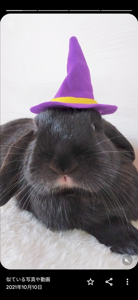 80ABF6F1-13CC-4E83-A63C-A62A7D354A19