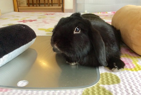 2AC1BE6C-B019-4FE7-ABAE-B476C96AC280