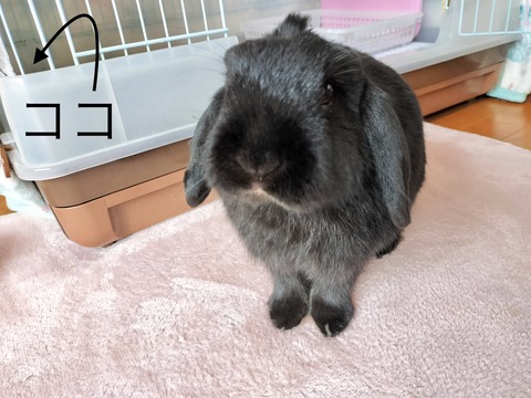 A02402EC-3EE9-4014-B021-562F5C40F22C