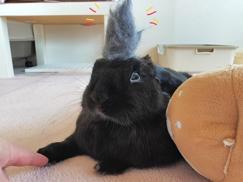 50C89B09-2051-4BC2-8F17-CC26DA1FEDE4