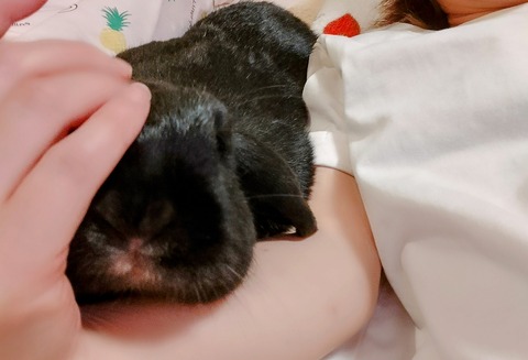 6426C2C9-6CA2-4D15-A5C7-30B316293079