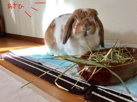 F503B4C0-3605-4123-B8D3-C14BB282825A