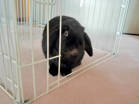 461ACD82-2E97-4C33-99D9-124D6691CDC7