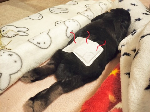 1682FEB5-7A60-42DD-9F83-D8B773D960EA