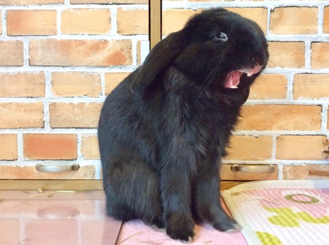 13324772-5028-4A91-ABF0-AE42197D5408