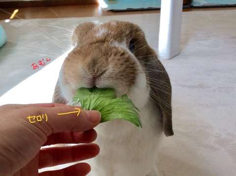 F5554DD5-AFEE-4775-9343-022EDD3BD29B