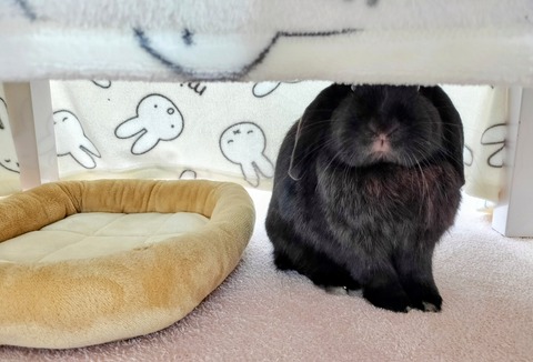 A4DB85DE-6F26-4F3C-AA3B-D81E444D5ECE