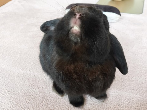 F82D54D5-2DC6-4E95-9D6D-065391229EFE