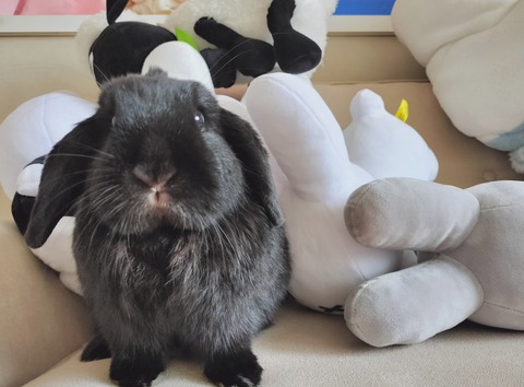 D040CD66-2529-421F-89C0-7FB6F4BD2E0E