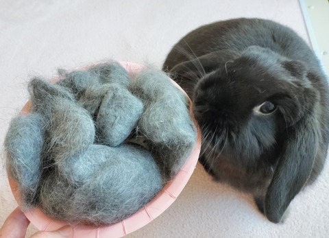 7DC87B43-7068-4661-ABE5-27577C3CB94D