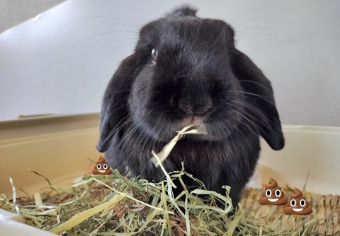 D2441599-BC7F-4C52-A362-2879FDDAB6D0