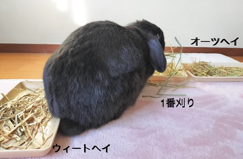 8A72F9A8-0D92-4EAF-88F8-FF0D6361A9C7