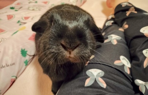 B7A87ACA-FDF3-46E5-B039-C156ABEDBCF4