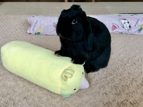 946649F0-D8FA-47BF-A23A-C43291312BD5