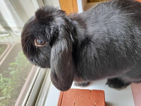 23D39691-4BFC-4D6A-9A1E-555471025697