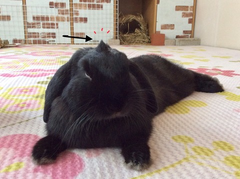 1AF94670-7B31-40A0-B827-7BD3C4C10967