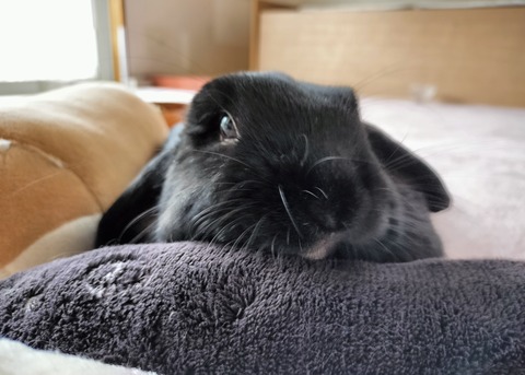 F78F21F9-899D-4963-8E33-68FAE29654CC