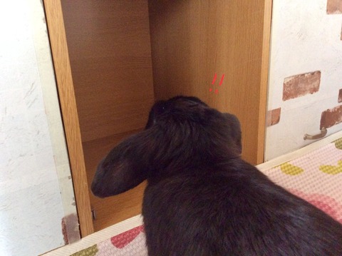 CAE17070-7E23-43B7-A53B-75071F454B7A