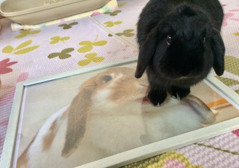 23B37C54-FC2D-40B3-ADCB-3F98A5A517D0