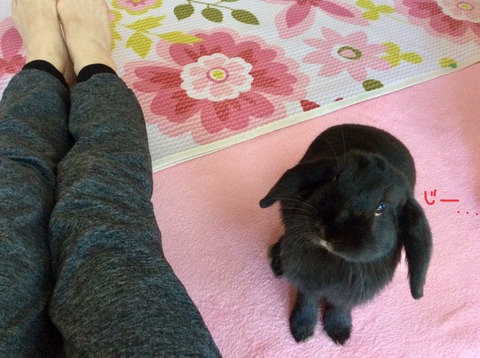 105BABF9-5893-4707-92AF-95D88451D6DD