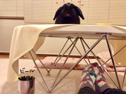 968D4402-4397-4F27-A421-8BFF634B36A5