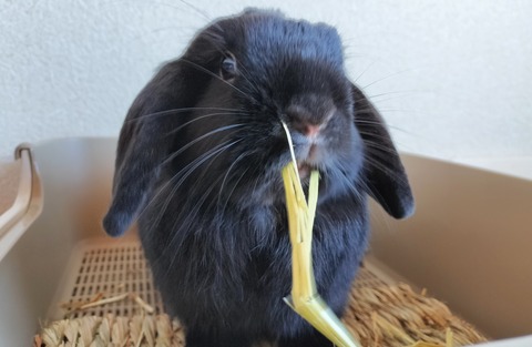 38F83B5C-1702-4D31-81C3-F79FDEE99CBE