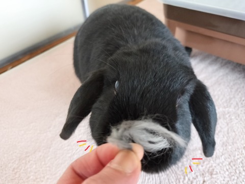 21E8EB59-0FC5-47C9-AA30-7BB5874A8446