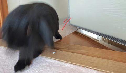 AFC32071-E9C3-442C-BF49-E9FE32E7F5E2